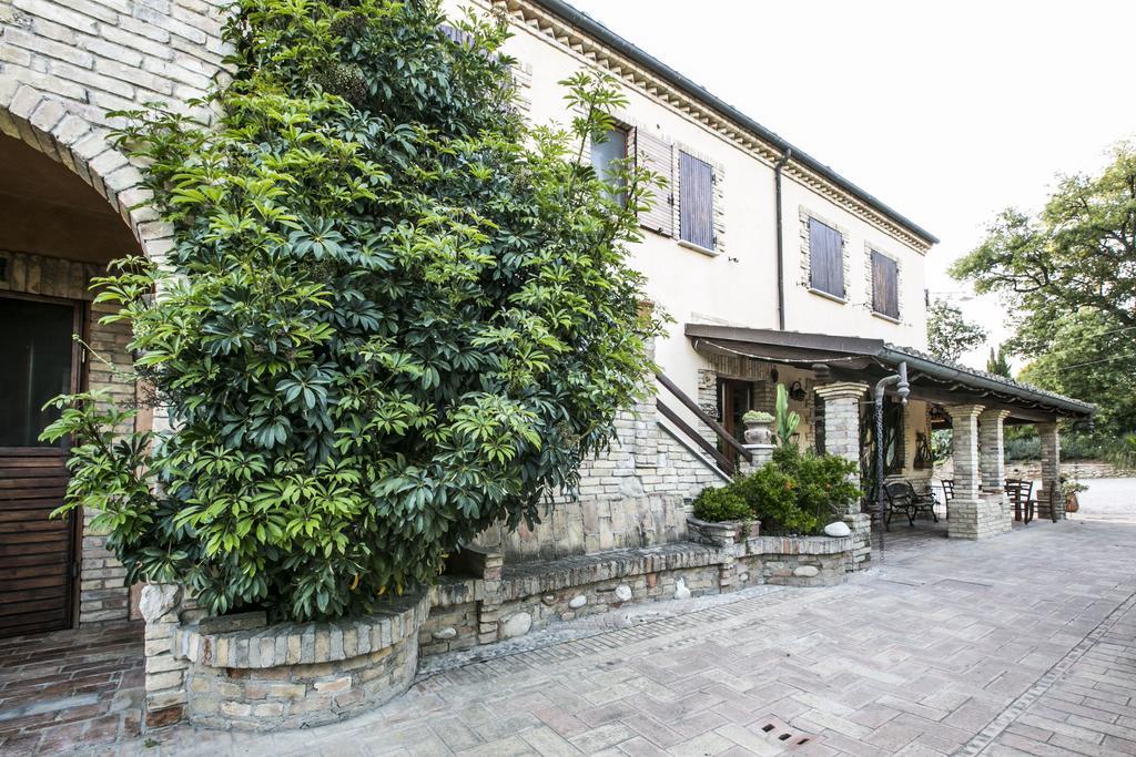 Agriturismo Col Morino Bed & Breakfast Пинето Екстериор снимка
